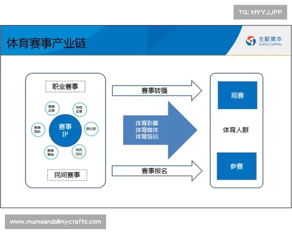 体育赛事属于什么行业 体育赛事属于什么行业