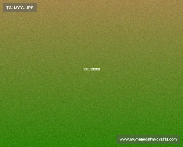 2020鲁能完全赛程 2020鲁能完全赛程